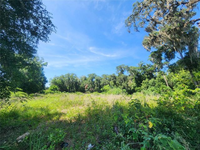 TBD 97TH STREET ROAD, Anthony, FL 32617