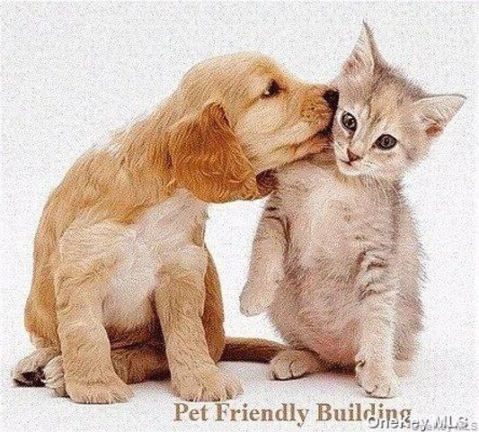 102-45 67th Road 1P, Forest Hills, NY 11375