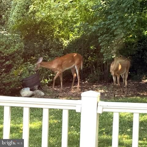 463 NICOLE CT, Smyrna, DE 19977