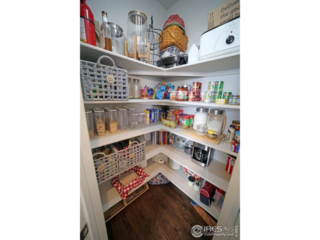 8241 White Owl Ct, Windsor, CO 80550