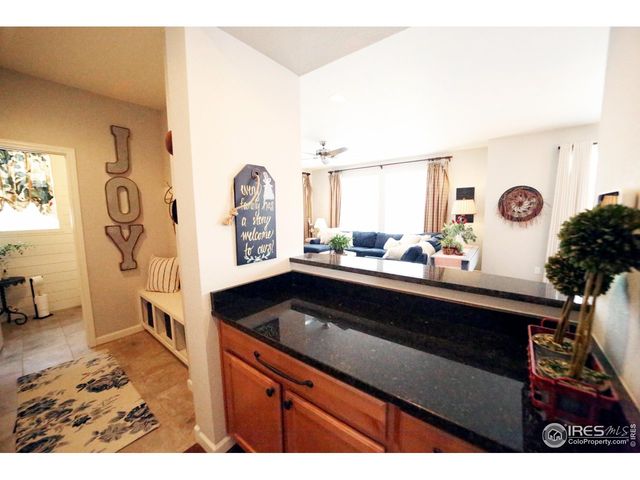 8241 White Owl Ct, Windsor, CO 80550