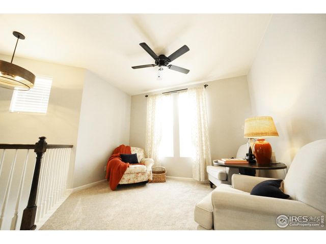 8241 White Owl Ct, Windsor, CO 80550