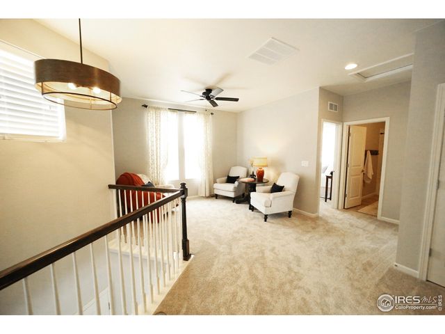 8241 White Owl Ct, Windsor, CO 80550