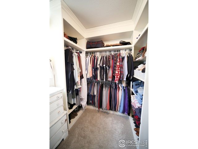 8241 White Owl Ct, Windsor, CO 80550