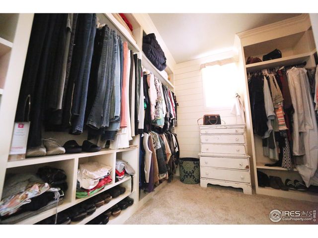 8241 White Owl Ct, Windsor, CO 80550