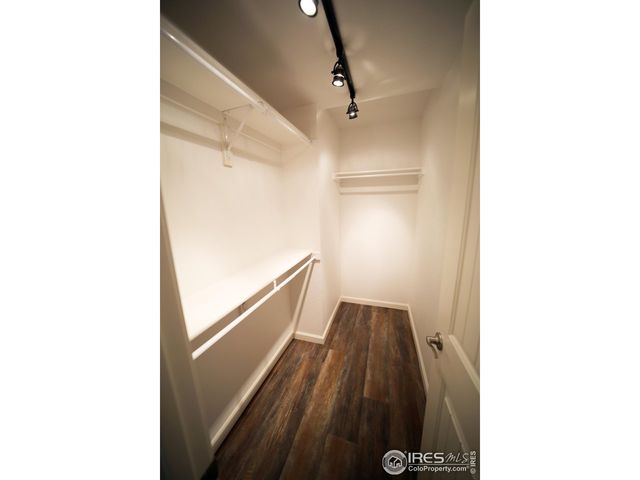 8241 White Owl Ct, Windsor, CO 80550