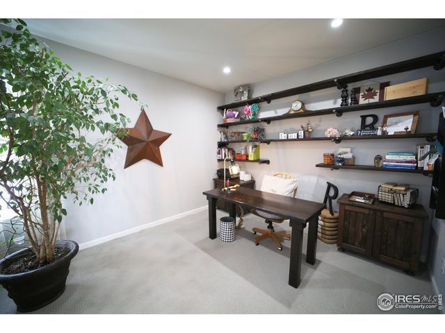 8241 White Owl Ct, Windsor, CO 80550