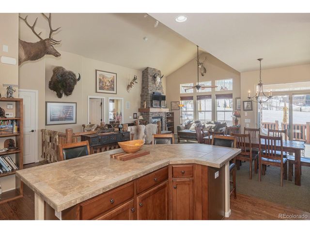 101 Saddle Horn Ct, Granby, CO 80446
