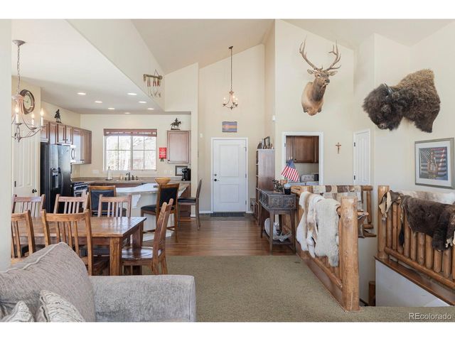 101 Saddle Horn Ct, Granby, CO 80446