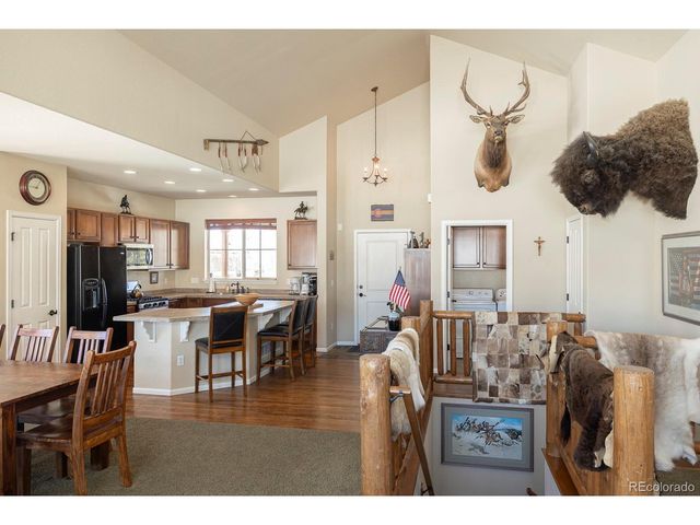 101 Saddle Horn Ct, Granby, CO 80446