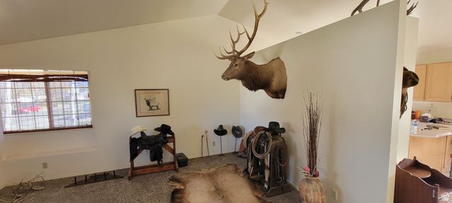 2853 W 12075 S, Riverton, UT 84065