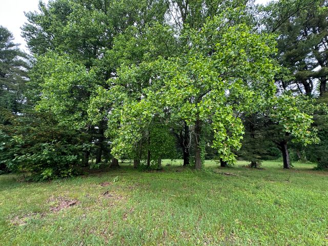 33259 Orchard Street, Covert Twp, MI 49043