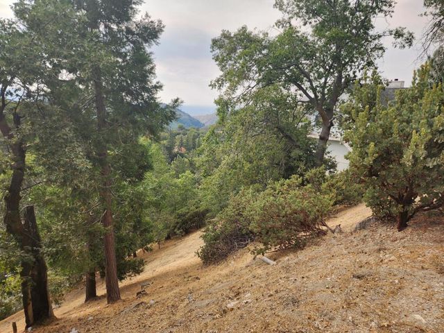 0 Evergreen Lane, Lake Arrowhead, CA 92352