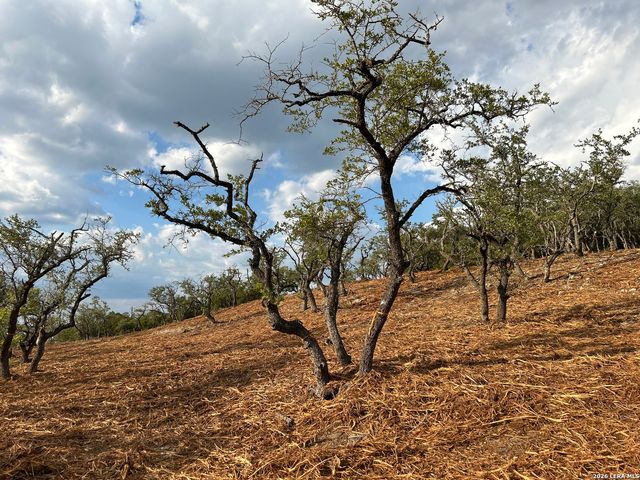 34780 Ansley Ridge, Bulverde, TX 78163