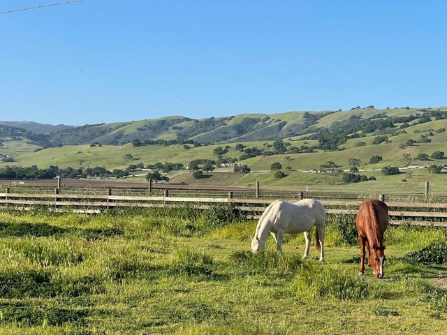 3465 Susie Lane, Gilroy, CA 95020