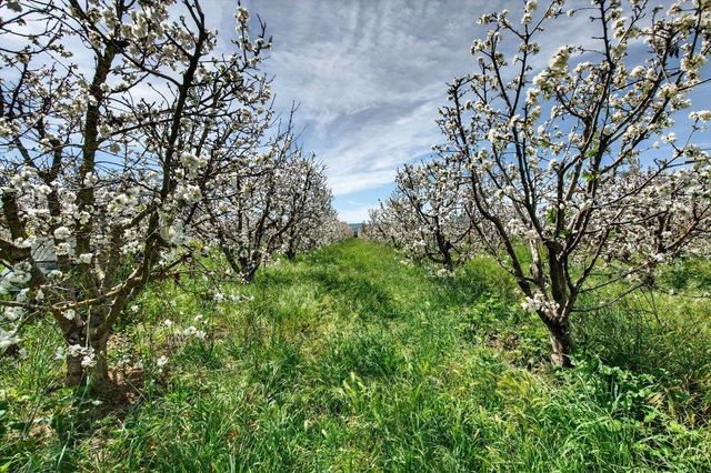 3465 Susie Lane, Gilroy, CA 95020