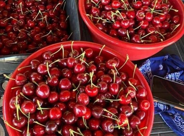 3465 Susie Lane, Gilroy, CA 95020