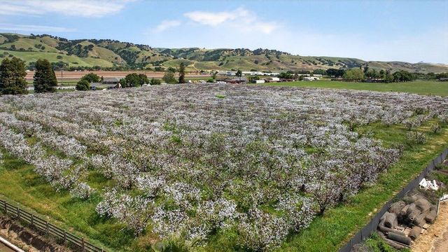 3465 Susie Lane, Gilroy, CA 95020