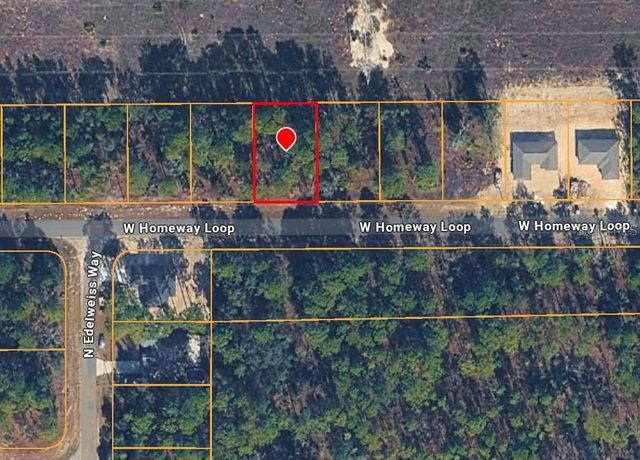 425 W HOMEWAY LOOP, Citrus Springs, FL 34434