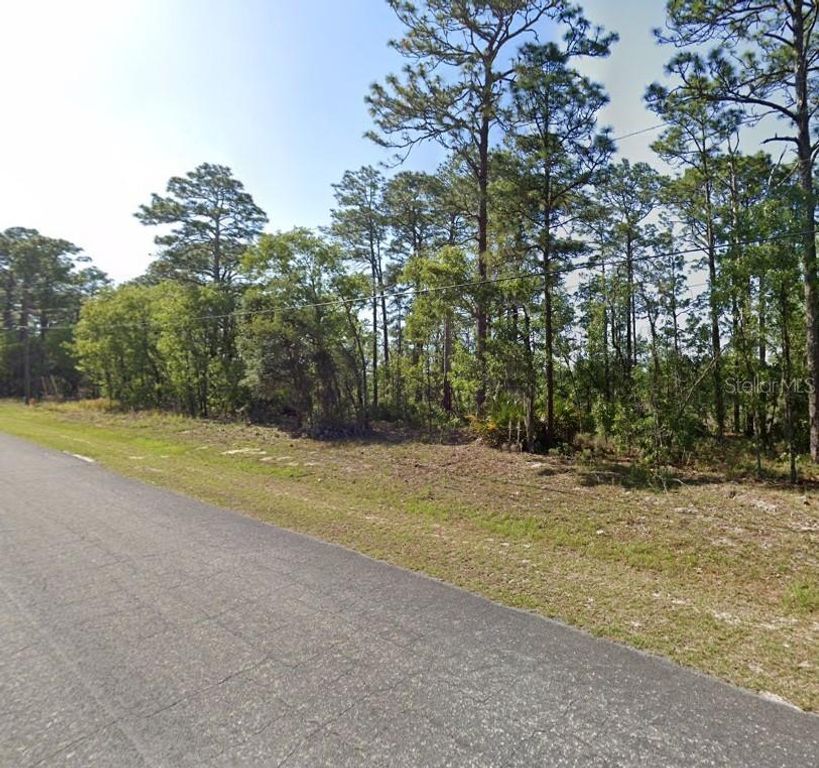 425 W HOMEWAY LOOP, Citrus Springs, FL 34434