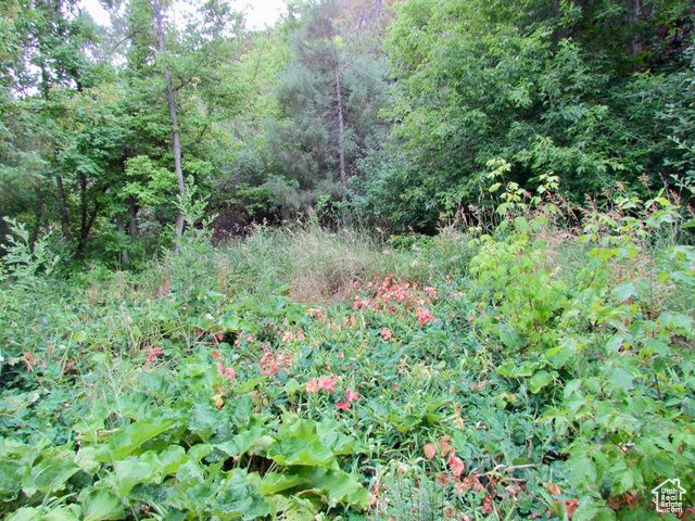 7737 W SAWTOOTH CV, Vernal, UT 84078