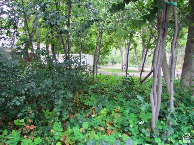 7737 W SAWTOOTH CV, Vernal, UT 84078