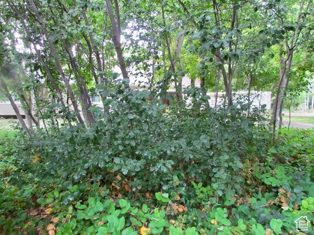 7737 W SAWTOOTH CV, Vernal, UT 84078