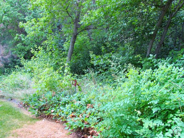 7737 W SAWTOOTH CV, Vernal, UT 84078