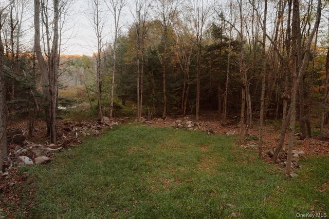 190 Bowers, Roscoe, NY 12776