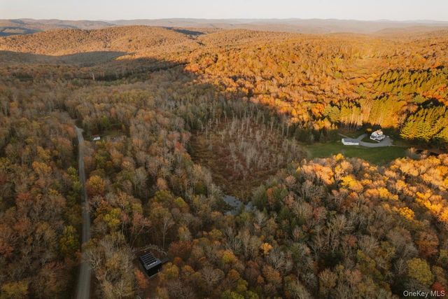 190 Bowers, Roscoe, NY 12776