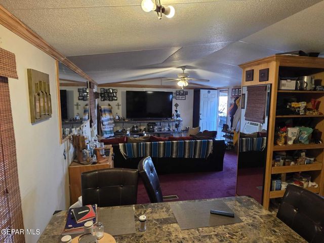 211 CARRIZO DR Drive, Sunland Park, NM 88063