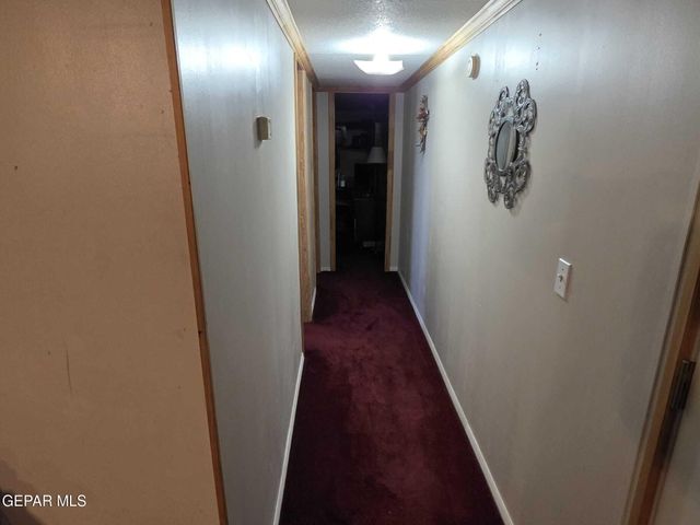 211 CARRIZO DR Drive, Sunland Park, NM 88063