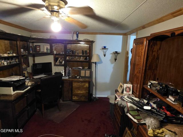 211 CARRIZO DR Drive, Sunland Park, NM 88063