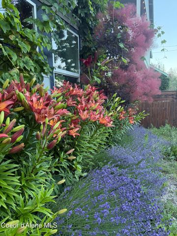 1210 Spruce St, Sandpoint, ID 83864