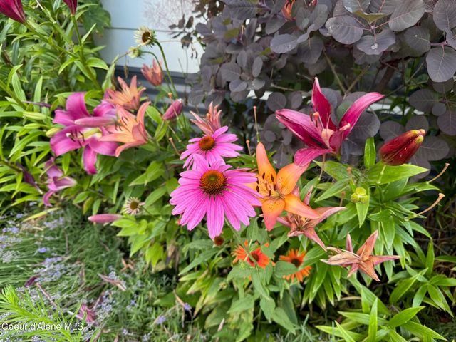 1210 Spruce St, Sandpoint, ID 83864