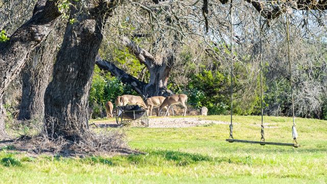 2496 Fm-182, Clifton, TX 76634