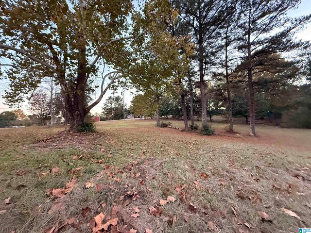 5791 COUNTY ROAD 59, Verbena, AL 36091