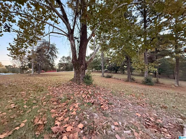 5791 COUNTY ROAD 59, Verbena, AL 36091