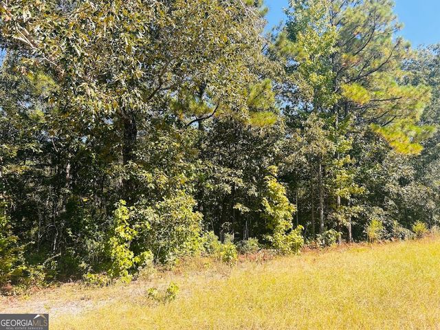 6842 GA Highway 240 TRACT 1, Box Springs, GA 31801