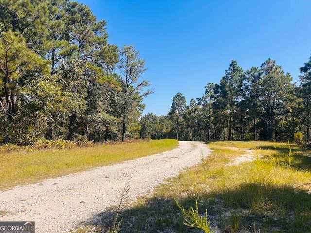 6842 GA Highway 240 TRACT 1, Box Springs, GA 31801