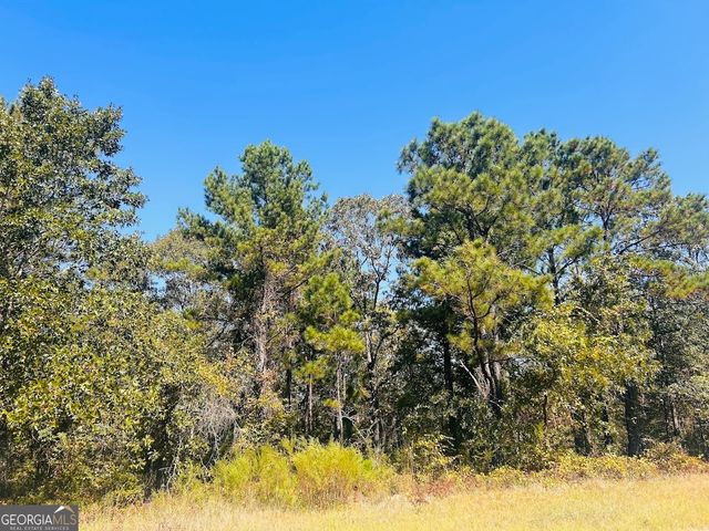 6842 GA Highway 240 TRACT 1, Box Springs, GA 31801