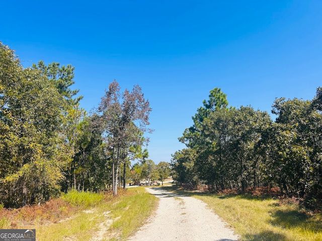 6842 GA Highway 240 TRACT 1, Box Springs, GA 31801