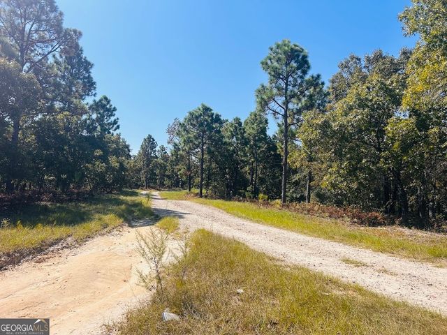 6842 GA Highway 240 TRACT 1, Box Springs, GA 31801
