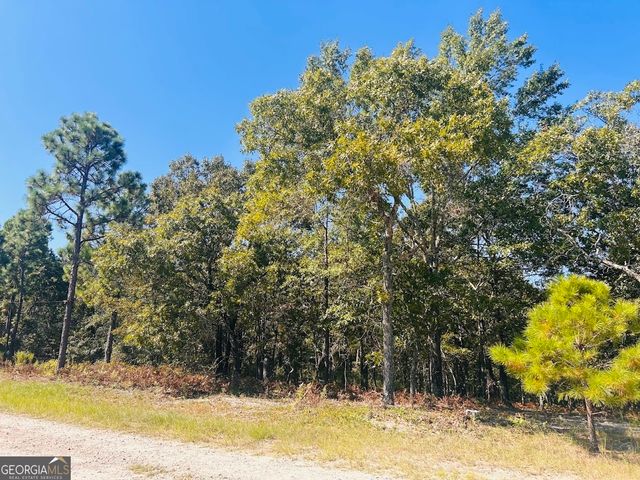 6842 GA Highway 240 TRACT 1, Box Springs, GA 31801