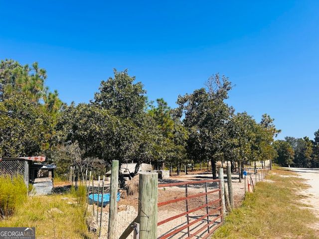 6842 GA Highway 240 TRACT 1, Box Springs, GA 31801