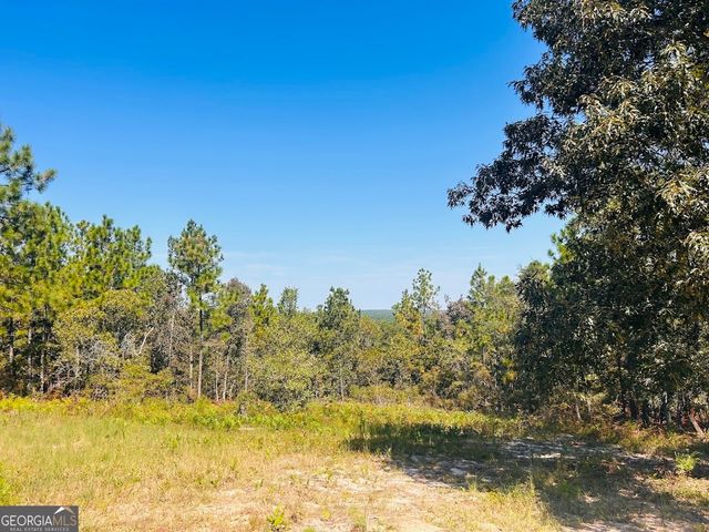 6842 GA Highway 240 TRACT 1, Box Springs, GA 31801