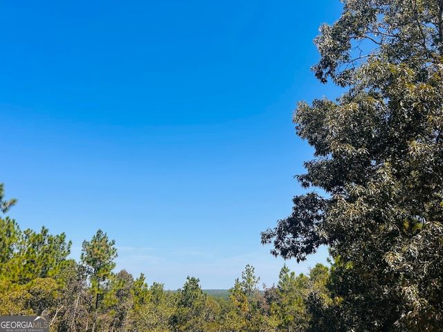 6842 GA Highway 240 TRACT 1, Box Springs, GA 31801