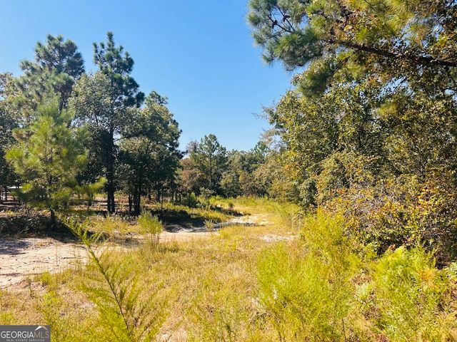 6842 GA Highway 240 TRACT 1, Box Springs, GA 31801