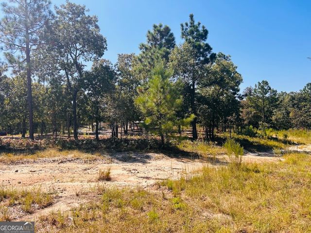 6842 GA Highway 240 TRACT 1, Box Springs, GA 31801