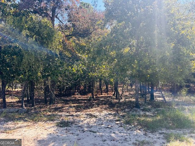 6842 GA Highway 240 TRACT 1, Box Springs, GA 31801